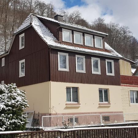 Ferienhaus Am Fluss Mit Traumhafter Dachterrasse ,Garten Und Grill Walkenried Εξωτερικό φωτογραφία