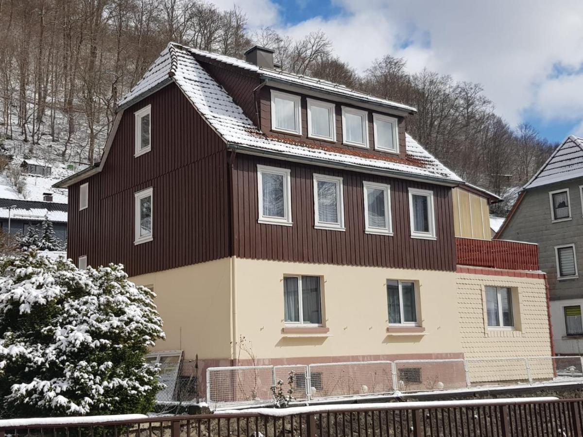 Ferienhaus Am Fluss Mit Traumhafter Dachterrasse ,Garten Und Grill Walkenried Εξωτερικό φωτογραφία