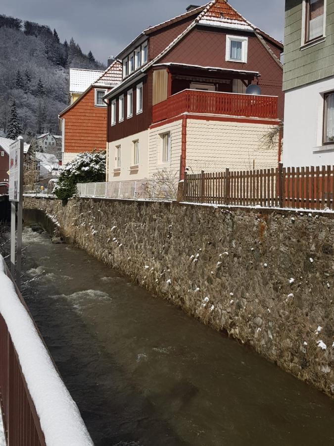 Ferienhaus Am Fluss Mit Traumhafter Dachterrasse ,Garten Und Grill Walkenried Εξωτερικό φωτογραφία