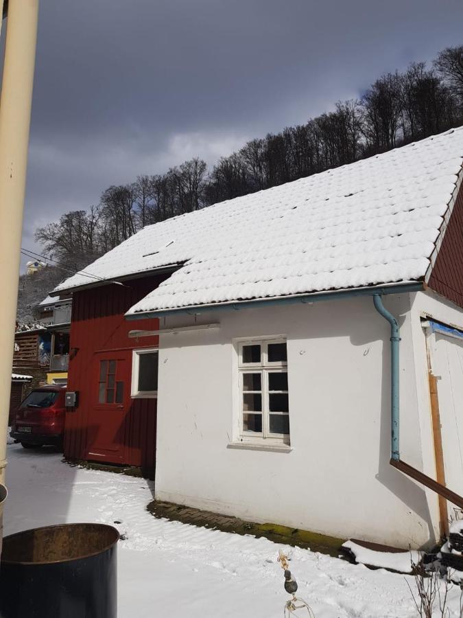 Ferienhaus Am Fluss Mit Traumhafter Dachterrasse ,Garten Und Grill Walkenried Εξωτερικό φωτογραφία