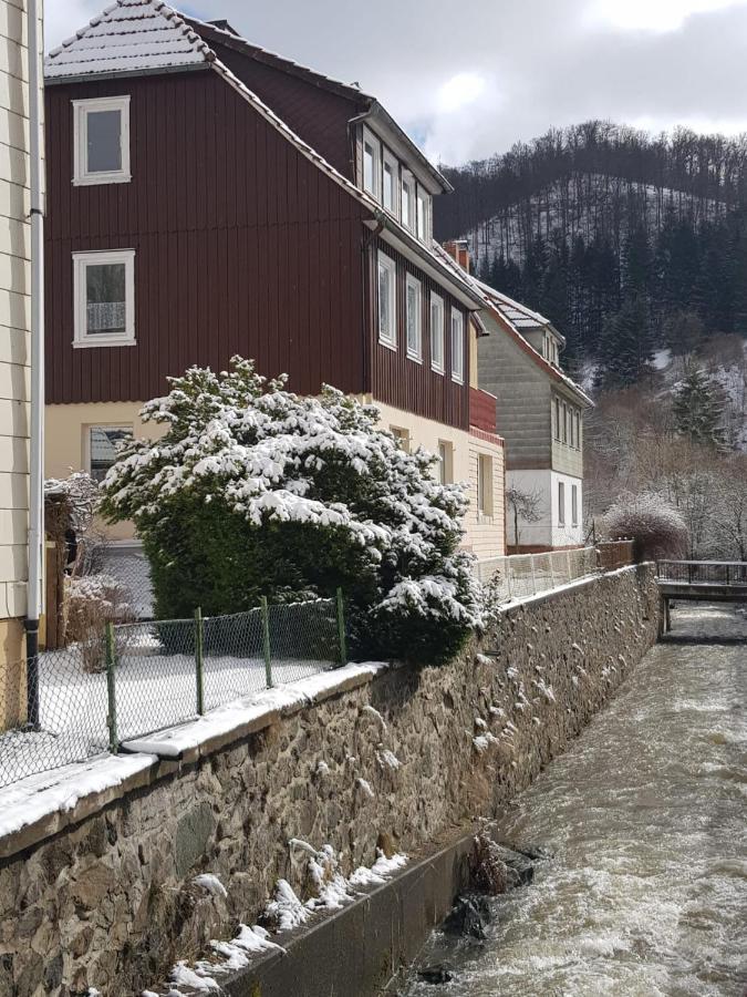 Ferienhaus Am Fluss Mit Traumhafter Dachterrasse ,Garten Und Grill Walkenried Εξωτερικό φωτογραφία