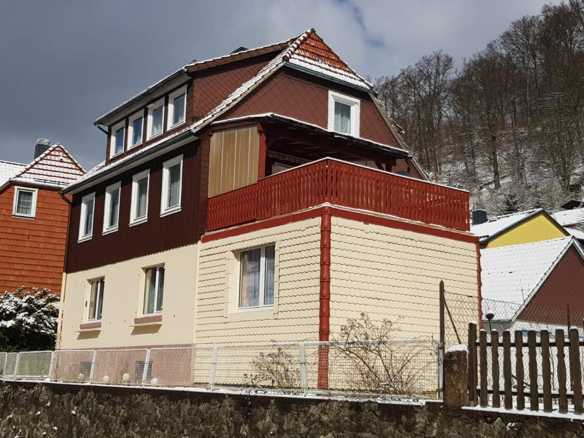 Ferienhaus Am Fluss Mit Traumhafter Dachterrasse ,Garten Und Grill Walkenried Εξωτερικό φωτογραφία