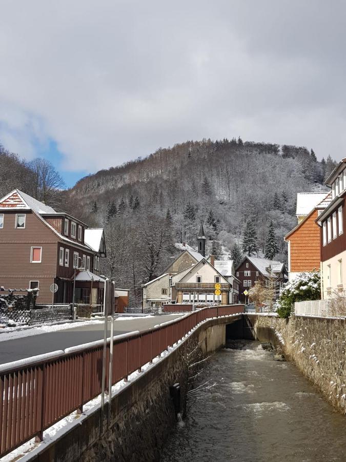 Ferienhaus Am Fluss Mit Traumhafter Dachterrasse ,Garten Und Grill Walkenried Εξωτερικό φωτογραφία