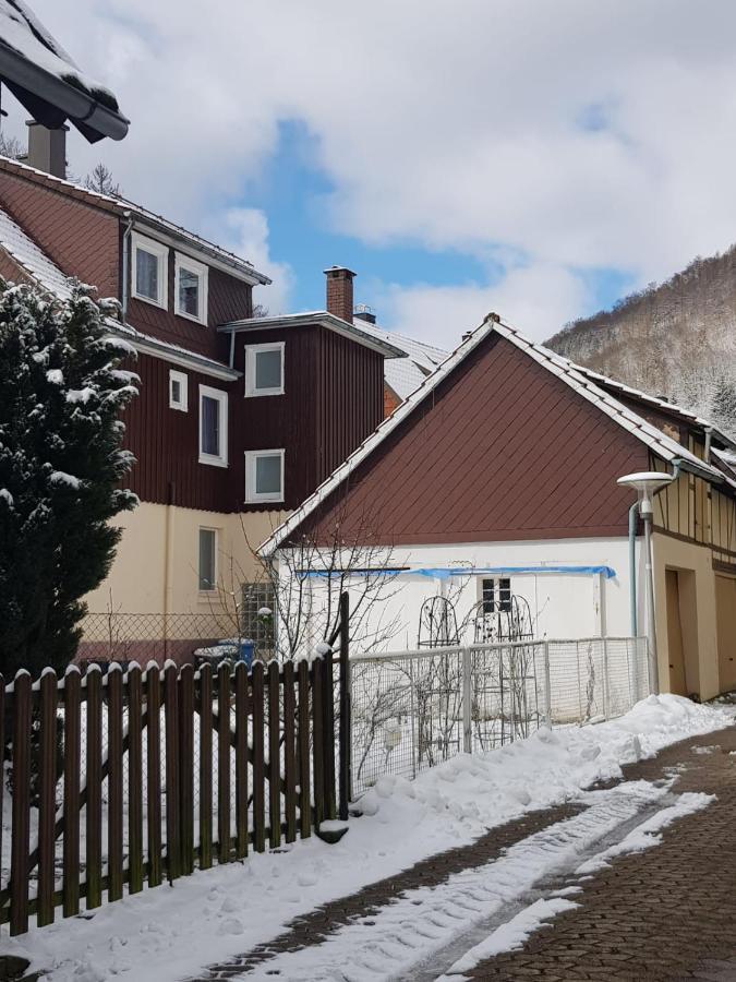 Ferienhaus Am Fluss Mit Traumhafter Dachterrasse ,Garten Und Grill Walkenried Εξωτερικό φωτογραφία