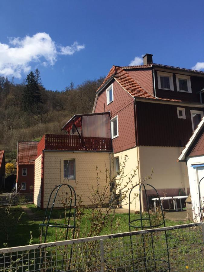 Ferienhaus Am Fluss Mit Traumhafter Dachterrasse ,Garten Und Grill Walkenried Εξωτερικό φωτογραφία