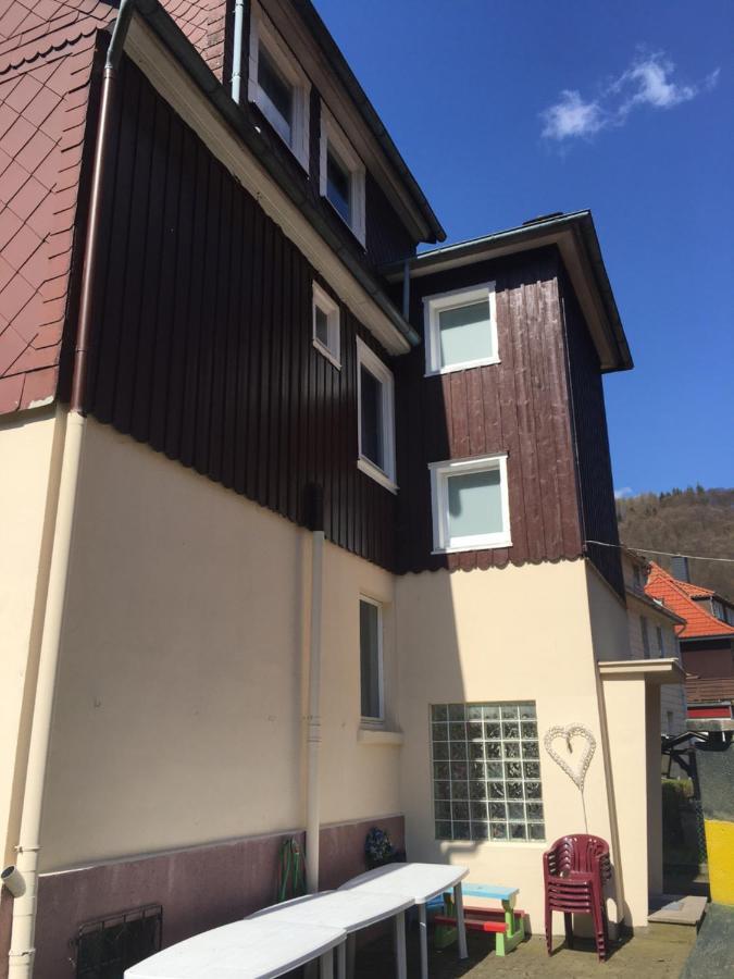Ferienhaus Am Fluss Mit Traumhafter Dachterrasse ,Garten Und Grill Walkenried Εξωτερικό φωτογραφία