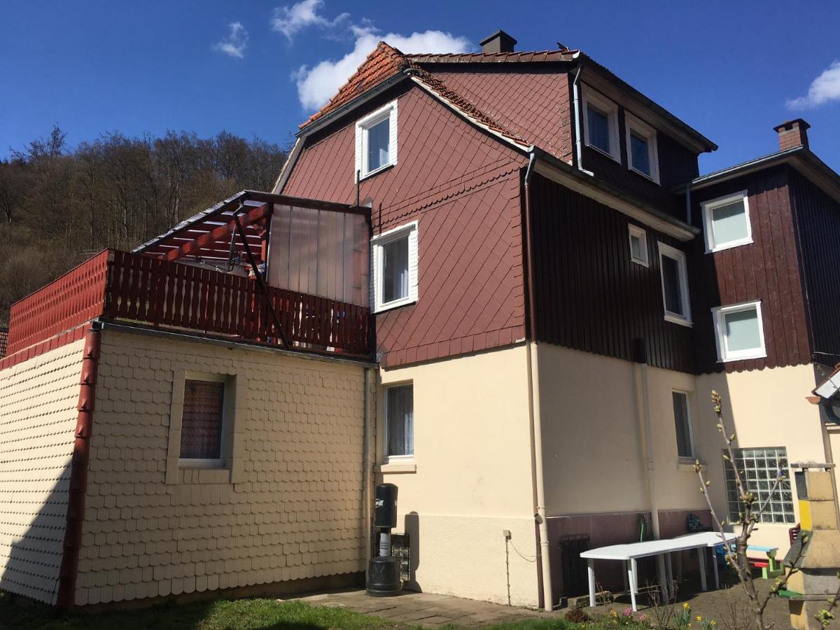 Ferienhaus Am Fluss Mit Traumhafter Dachterrasse ,Garten Und Grill Walkenried Εξωτερικό φωτογραφία