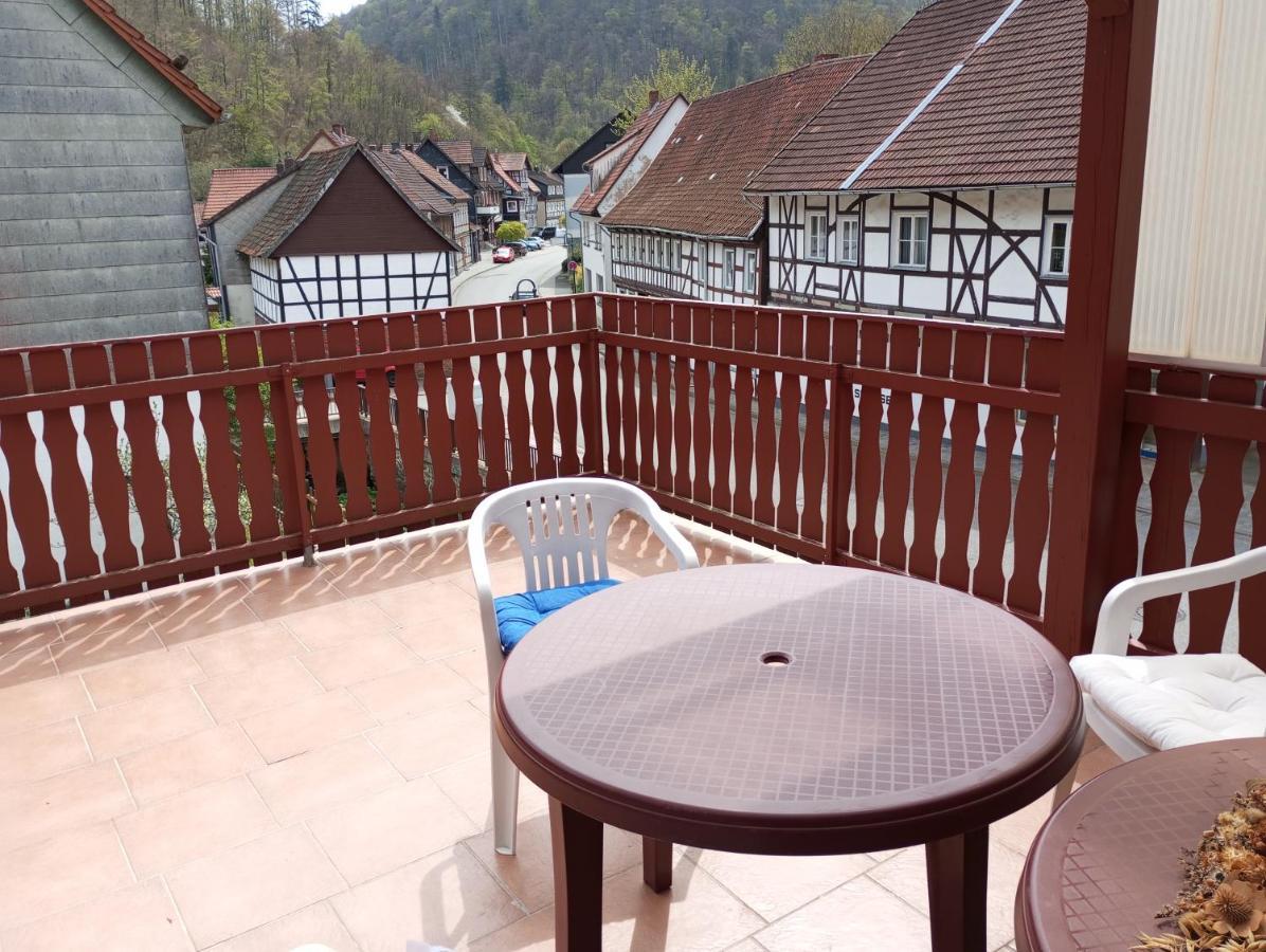 Ferienhaus Am Fluss Mit Traumhafter Dachterrasse ,Garten Und Grill Walkenried Εξωτερικό φωτογραφία